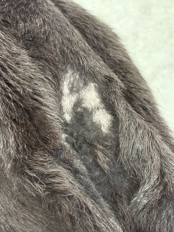 2000s Cavalli Brown Fur Leather Jacket - Image 12
