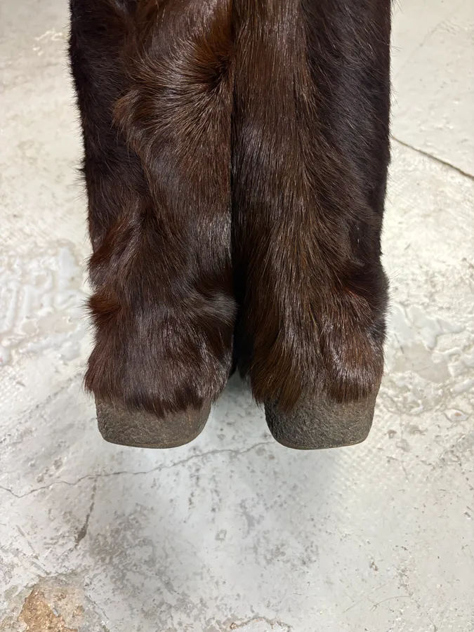 2000s Gucci Brown Fur Scratch Boots - Image 5