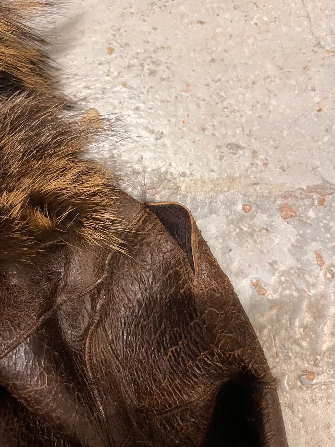 2010s Armani Fur Collar Painted  Brown Leather Jacket - Image 8