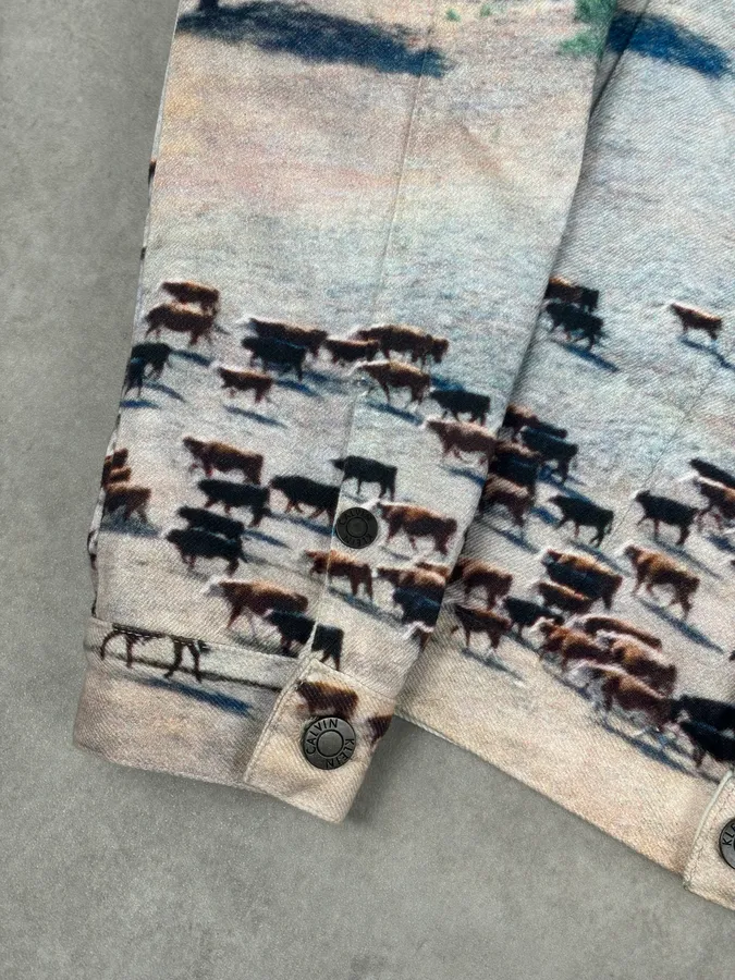 AW2018 Calvin Klein Printed Landscape Scene Graphic Denim Jacket - Image 9