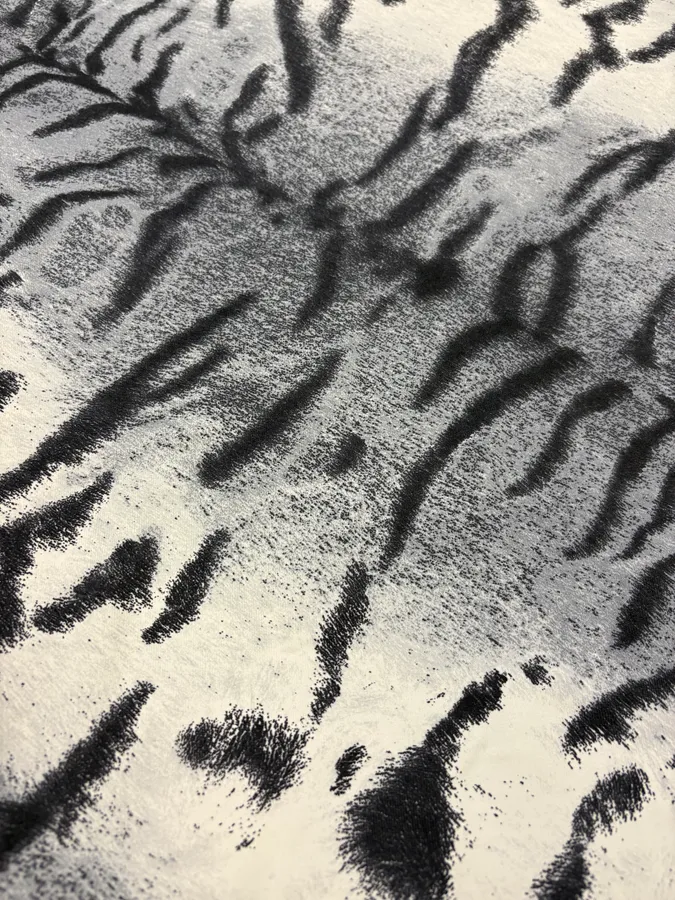 FW2000 Roberto Cavalli Zebra Savage White & Blue Tee-Shirt - Image 5