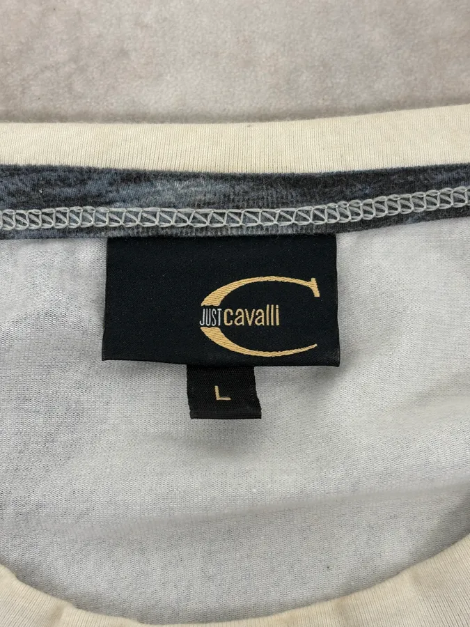 FW2004 Cavalli Blue & White Brush Striped Longsleeve T-Shirt - Image 9