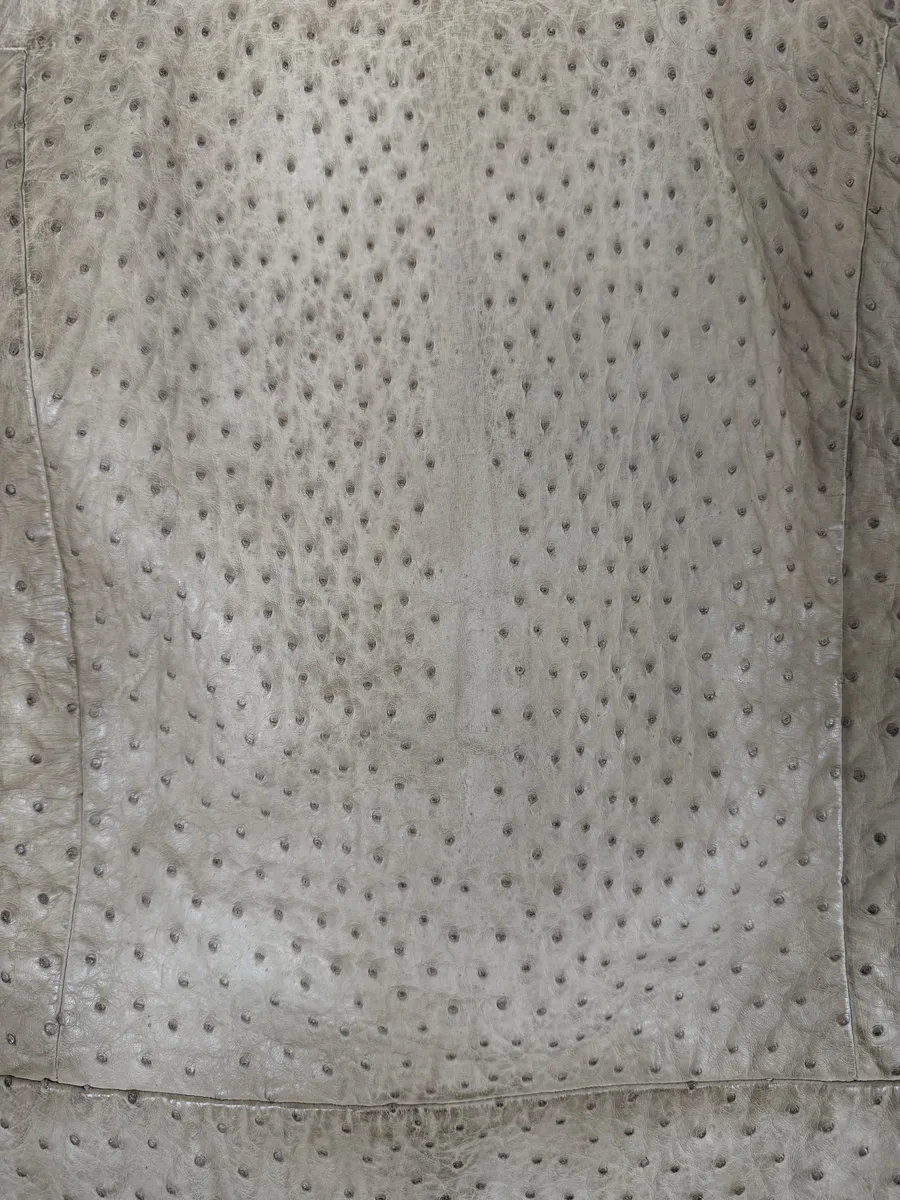 FW2010 Gucci Beige Asymmetrical Ostrich Leather Jacket by Frida Giannini - Image 10