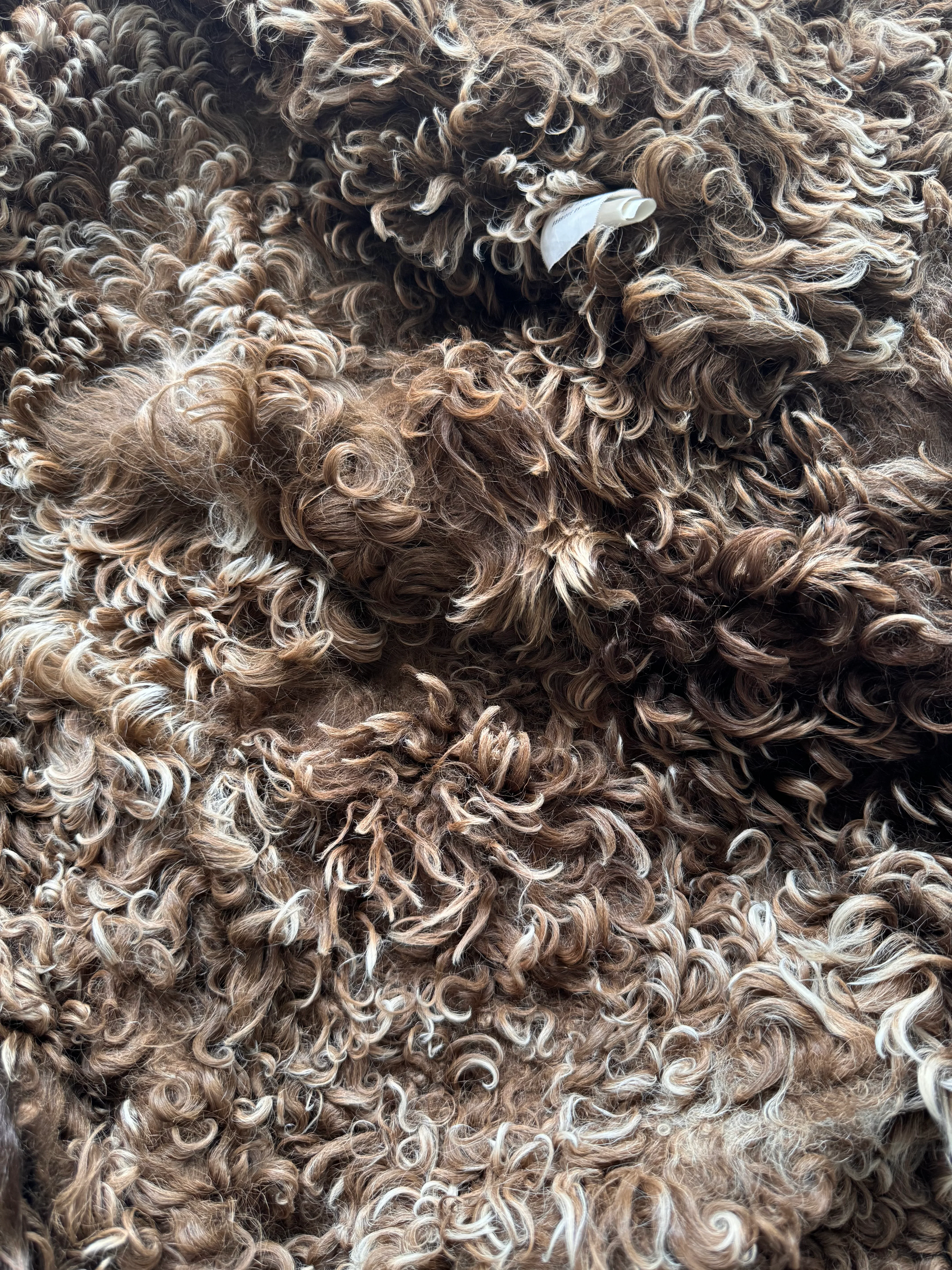 Plein Sud Shearling Long Coat (XS) - Image 6