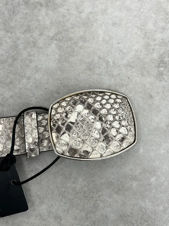 Roberto Cavalli Beige Python Leather Avant-Garde Belt - Image 5