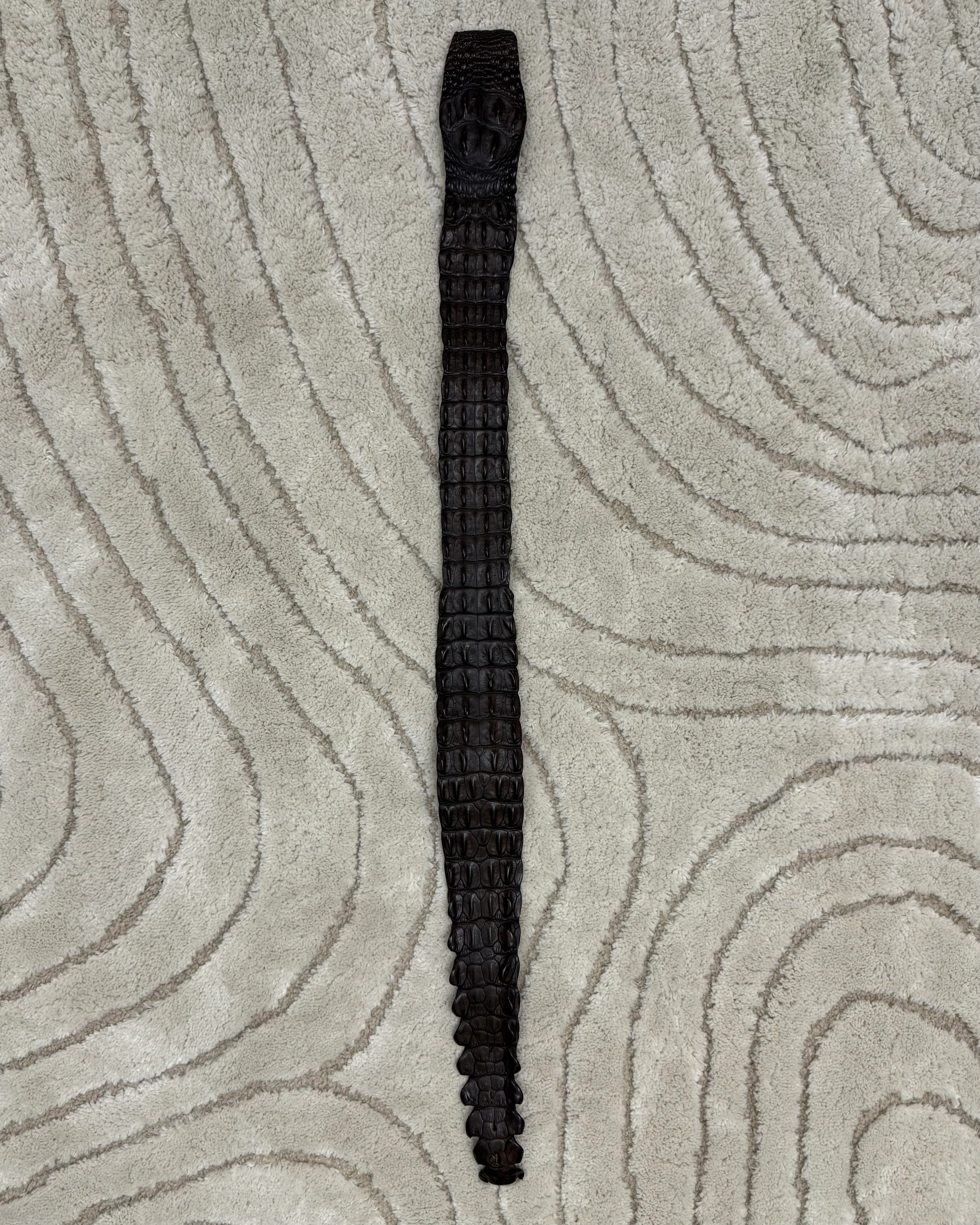 SS2005 Roberto Cavalli Crocodile Leather Belt - Image 7