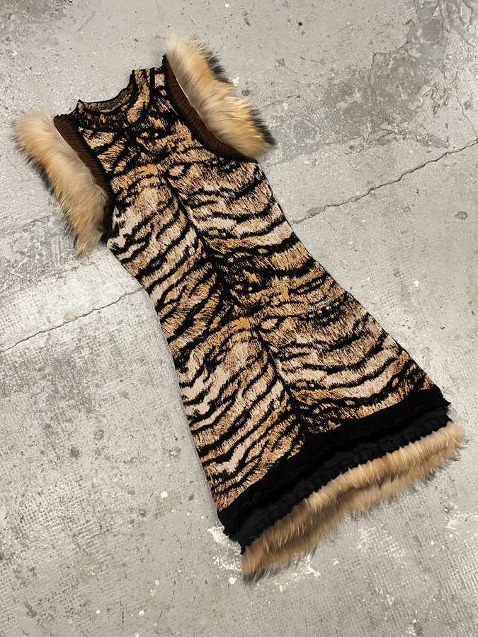 Roberto Cavalli Savage Fur Lion Long Dress - Image 4