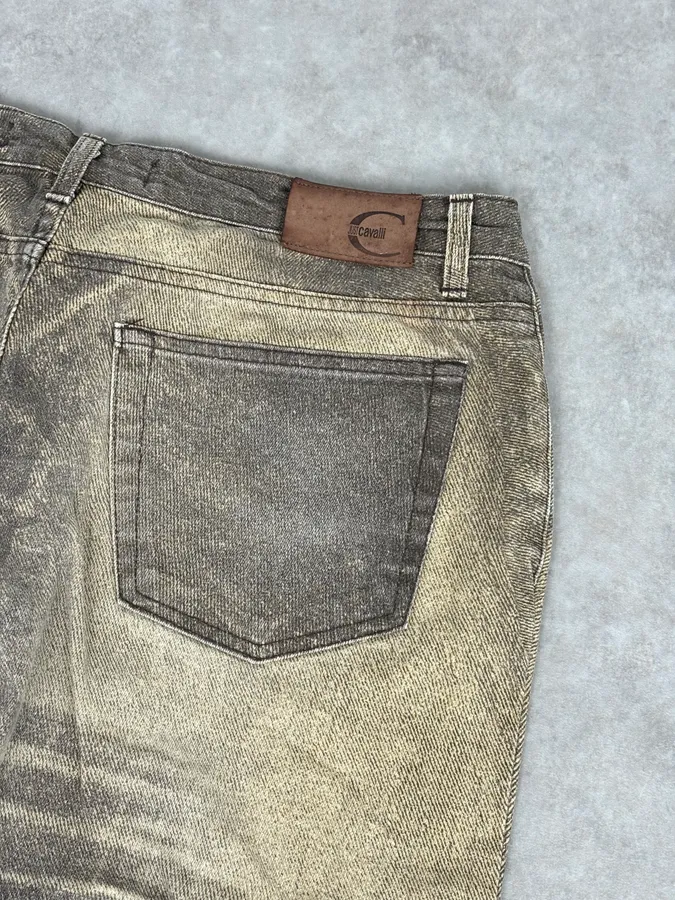 SS2004 Cavalli Taupe Sand Vitality Overprint Pants - Image 8