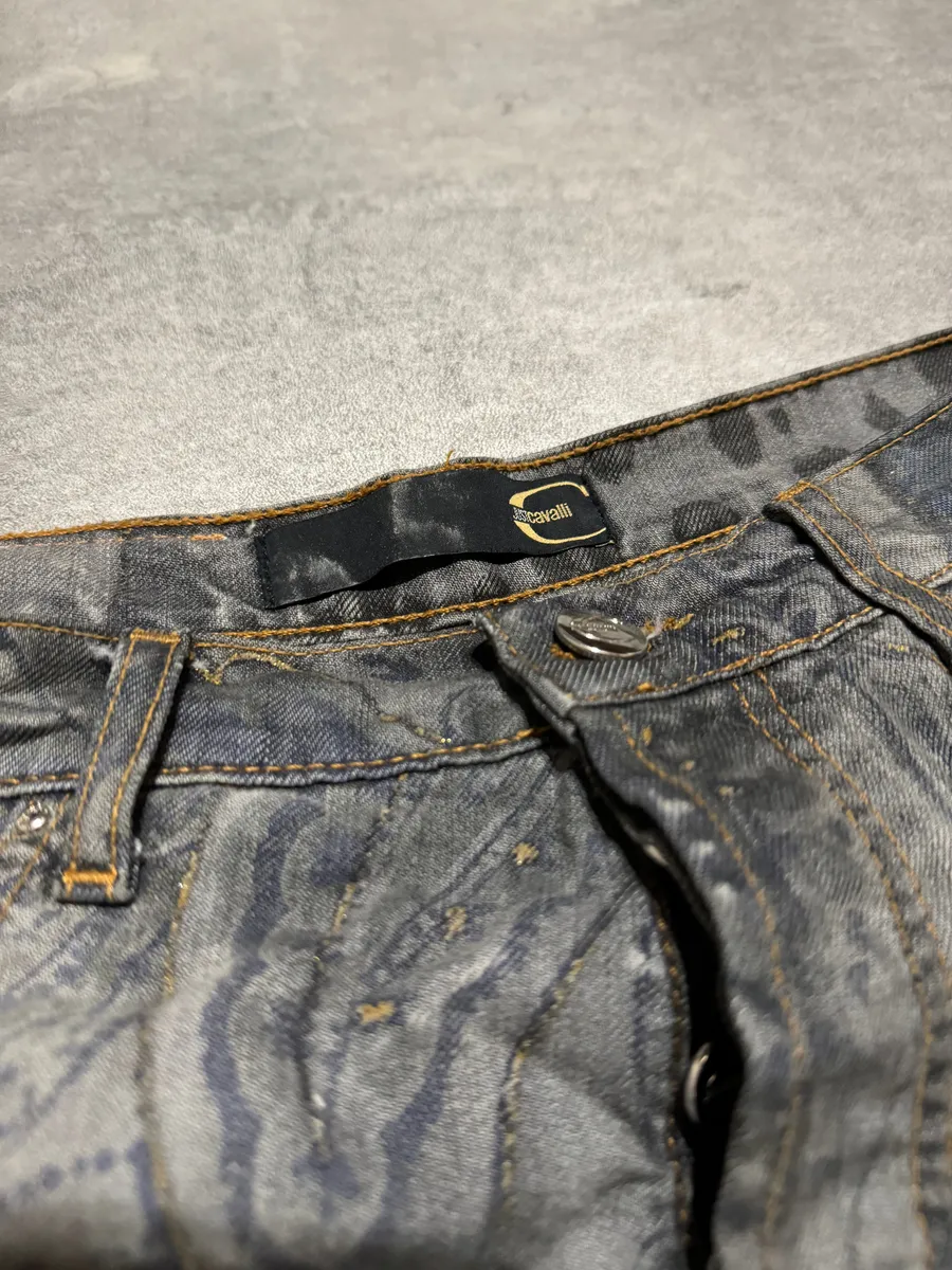 SS2006 Cavalli Contemporary Panther Astro Grey Pants - Image 6