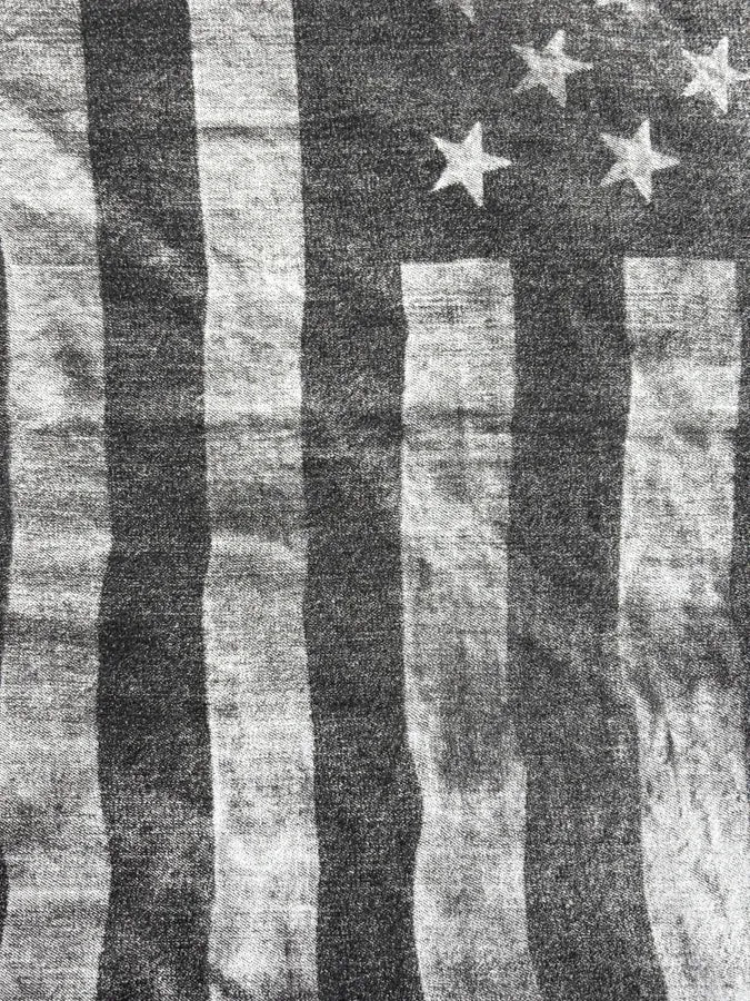SS2014 Guess American Flag Striped T-Shirt - Image 8